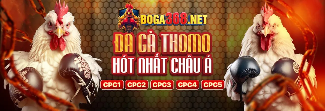 Khuyến Mãi Hấp Dẫn 2026 Thomo Hôm Nay - Cá Cược Đỉnh Cao, Ưu Đãi Bất Tận!